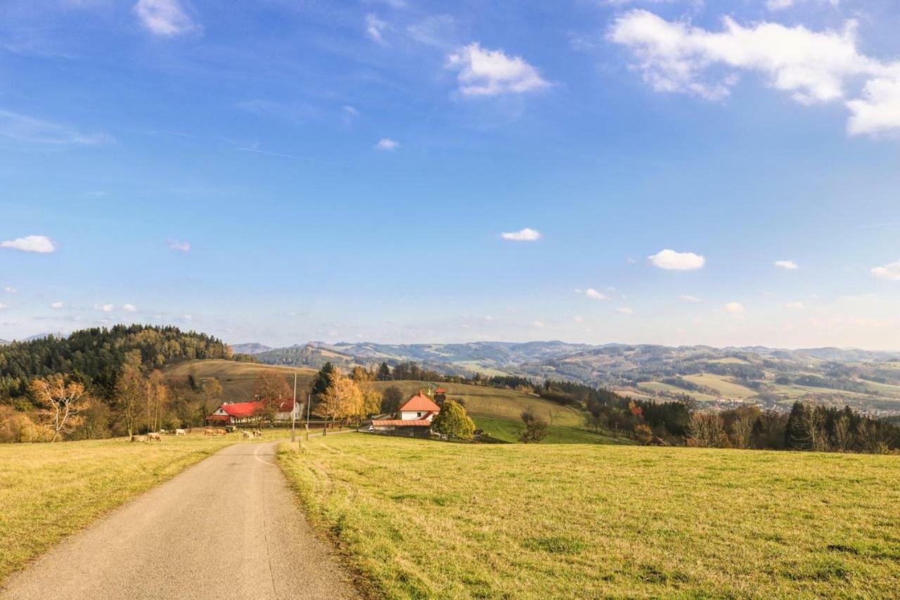 Ubytovani Na Przenskych Pasekach Mikuluvka Экстерьер фото